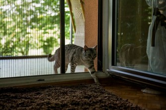 zanzariere-img-17.jpg